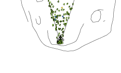 desc