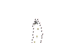 Auto Track