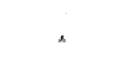 Helicopter auto
