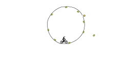 Spin
