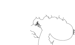 The Cave