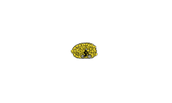 Ez Pz Lemon Sqeezy