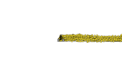 5005 stars
