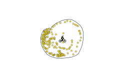 But then, Radium, got this run