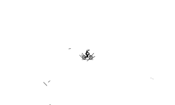 A noob auto