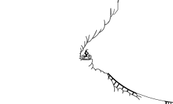 ROCKY MOUNTAINS X-STREAM DEMO