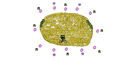 stars, (tiny version)