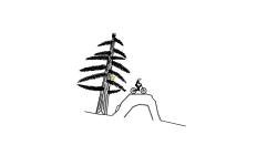 Detailed Pine Tree