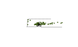 Small auto