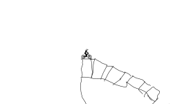 the gross teeth and hand