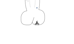 el pene