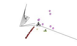 Teleport Speed