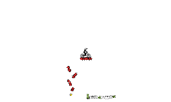 level4