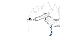 The Hushed Mountain