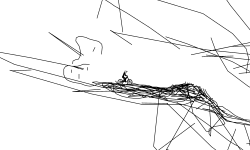 scribble preveiw
