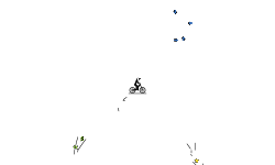 Bmx or Moutain Bike