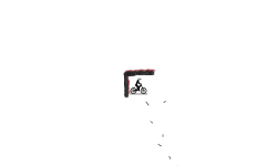 Monkey 8