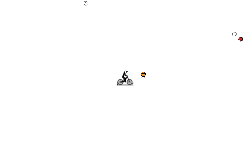 fly