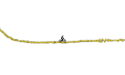 star halfpipe