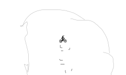 Automaxer