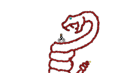 Dangerous snake