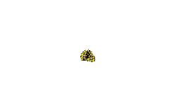 2000 stars
