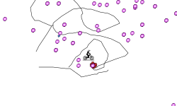 you win i sub
