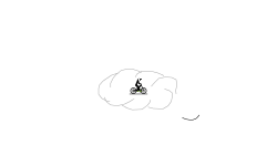 Sky fall auto
