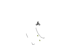 wheelie