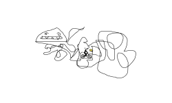 Use This For Coins 2