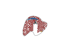 amogus