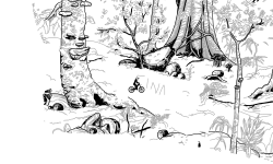 Forest track