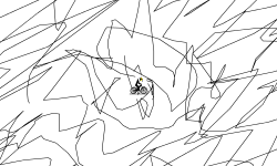 lines