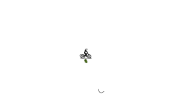 Risky (holdup)