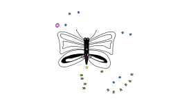 BUTTERFLY