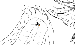 Detail Contest