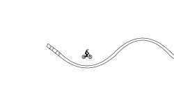 Snake(HNY)