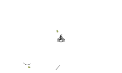30 sec flip auto