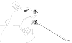 bear