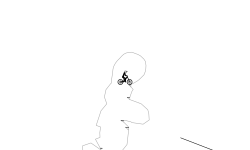auto (desc)