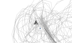 Scribble Scribble