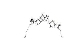 The Mountain Top