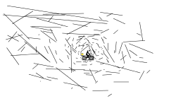 Sparta