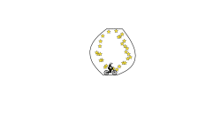 circle