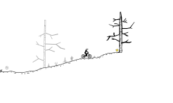 forest read desc