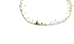 circles