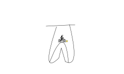 A Tooth