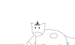 A cow