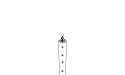 100 stars # 47+ wheelie