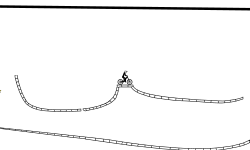 Race or Race